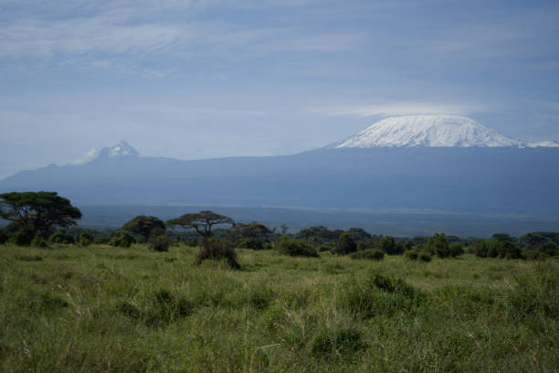 istock Kilimanjaro Elephant  Amboseli National Park Savannah 1255554357