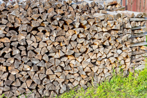 istock Cross section of the timber for the background. Selective trendy soft focus. 1255554714
