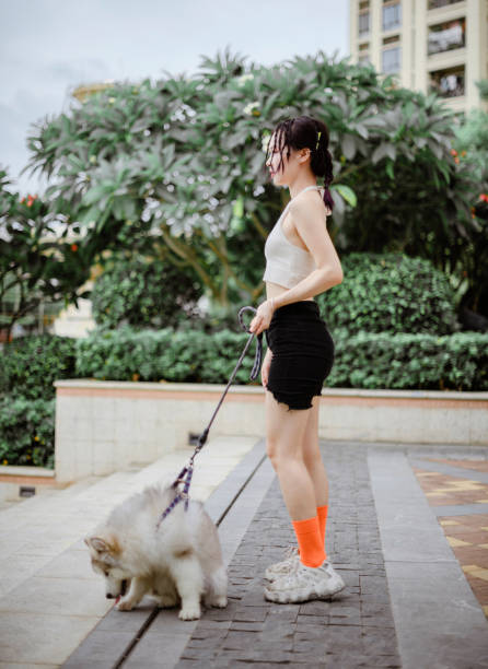 istock girl walking dog 1255554869