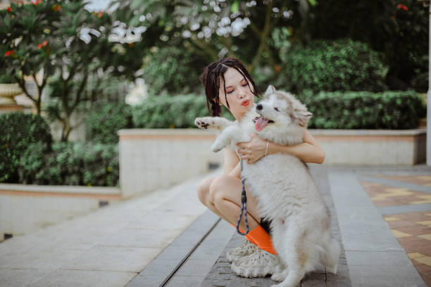istock girl walking dog 1255555443