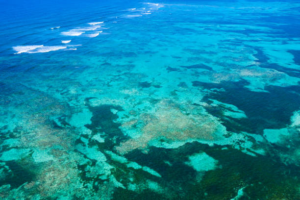 istock Aerial view from drone on Atlantic ocean with reef and waves 1255558015