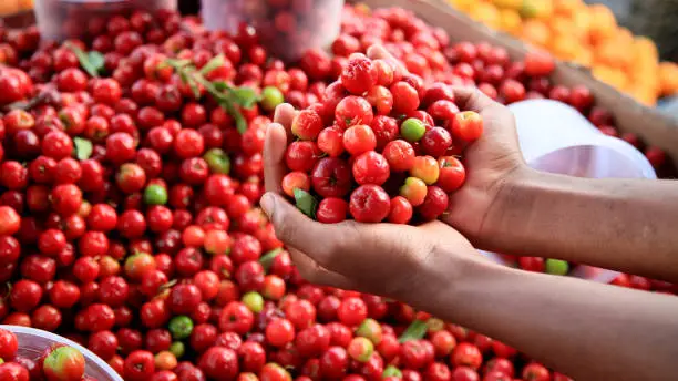 salvador, bahia / brazil - july 10, 2020: acerola fruit are seen for sale in the city of Salvador.