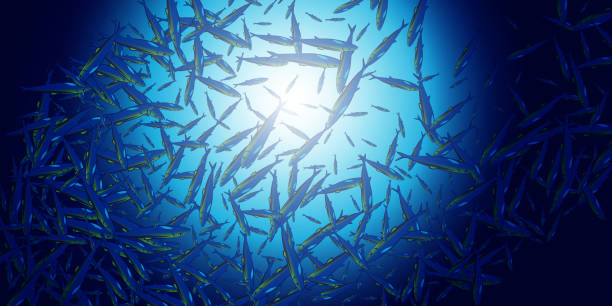 istock Abstract jamb fishes underwater sea ecosystem. Large group of fish on blue background and sun. Vector illustration. Banner alive fish in freedom . 1255560131
