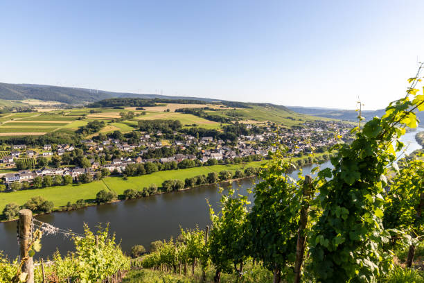 istock Scenic view on river Moselle valley with vineyard in  foreground 1255561691