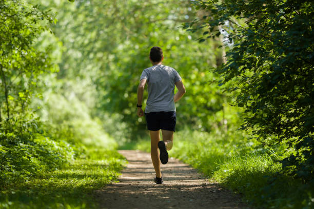 one young, adult man running in forest on natural trail in sunny summer day. daily active lifestyle. back view. - off track running imagens e fotografias de stock