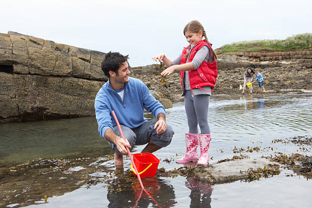 istock Family looking in rock pools at seaside 125556611