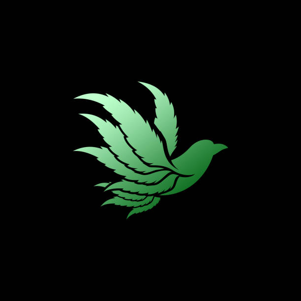 Flying Green Cannabis Bird Silhouette Logo Template Download with the EPS file for any editable or scalable needs naming organic compounds stock illustrations
