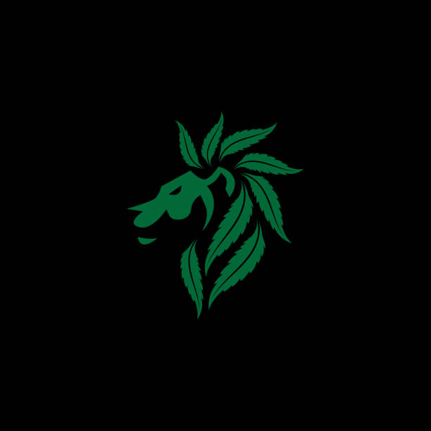 Green Cannabis Lion Brand Identity Logo Template Download with the EPS file for any editable or scalable needs marijuana tattoo stock illustrations