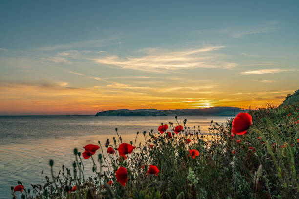 istock The sun setting above nature reserve Moenchgut and Gross Zicker village 1255570111