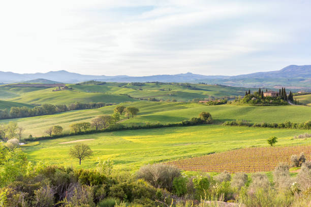 istock Rustic Tuscan landscape in Italy 1255571141