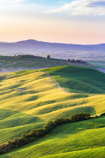 istock Rural landscape with fields and hills 1255571189
