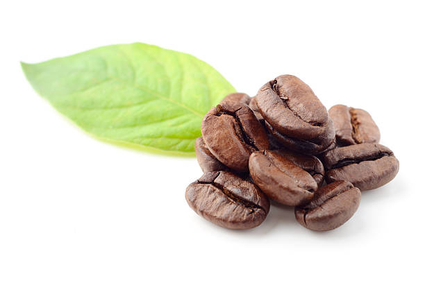 istock A pile of coffee beans next to a green leaf 125557138