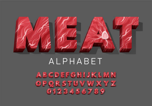 illustrations, cliparts, dessins animés et icônes de alphabet latin vectoriel de viande. ensemble de lettres et de numéros de viande crue fraîche avec de l’os. police de viande de bœuf de filet rouge pour les restaurants, boucherie, marché fermier. - steak meat raw beef