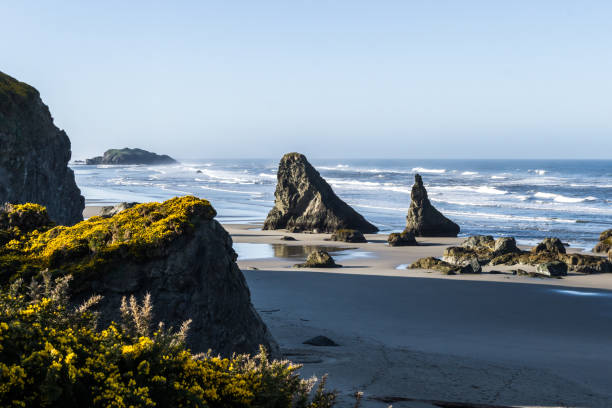 istock Coastal scene, southern Oregon 1255573148