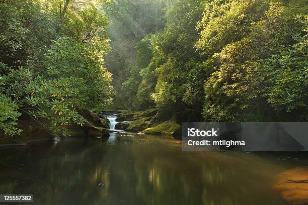 Rio Selvagem E Scenic Chattooga Ao Amanhecer - Fotografias de stock e mais imagens de Rio - Rio, Amanhecer, Ao Ar Livre