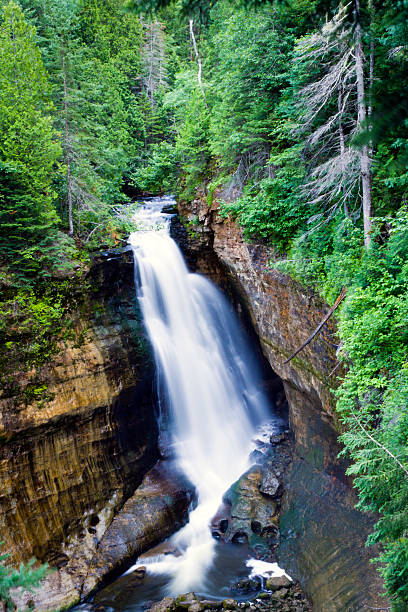 istock Waterfall in green forest, Michigan USA 125557587