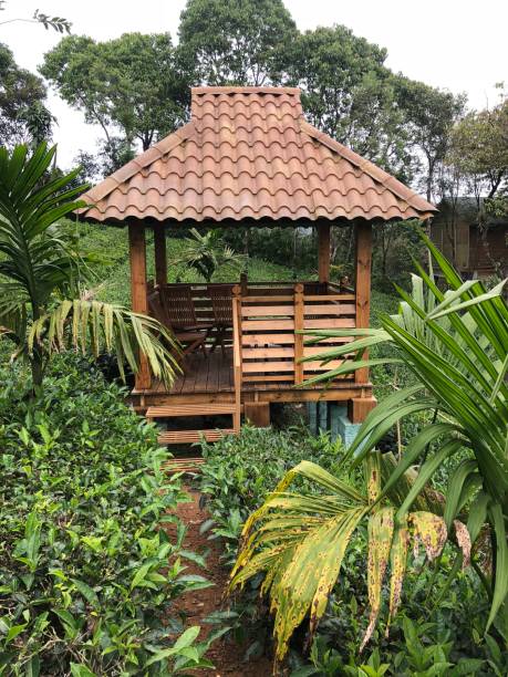 istock Wooden house 1255579097