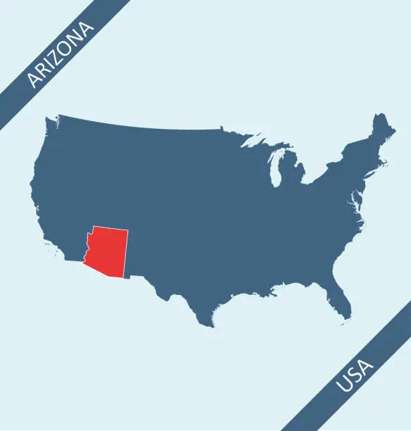 Vector illustration of Arizona state on USA map