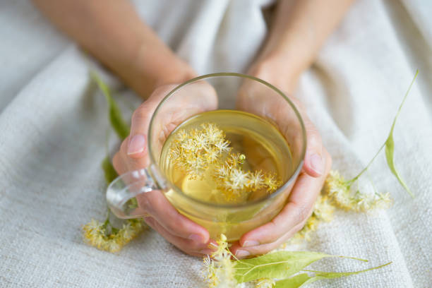 Woman Holding a Cup of Herbal Tea A cup of herbal tea (lime blossom/ linden tea) photographed on a cozy beige blanket with herbal flowers in the background. herbal tea stock pictures, royalty-free photos & images