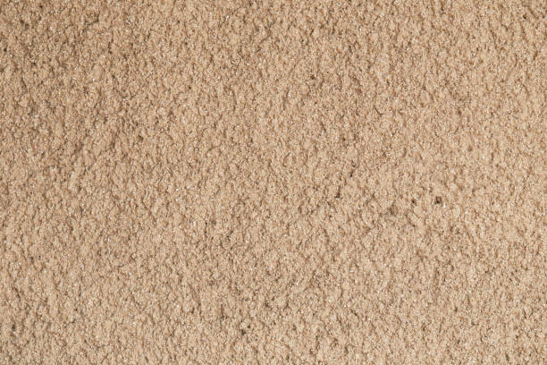 istock Painted on the surface of the wall 1255581858