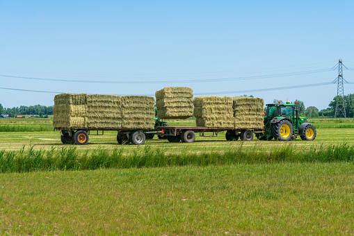Dordrecht, Netherlands - June 1 2020: Green tractor loading bales of hay onto a trailer in rural countryside.The Biesbosch National Park is one of the largest national parks of the Netherlands