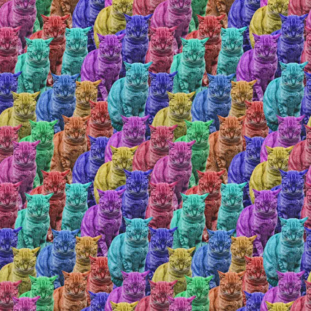 Photo of multi-colored funny sleeping cats, seamless pattern