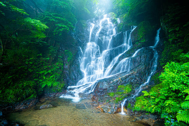 istock 
