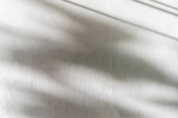 istock stone texture for backgrounds image photo stock 1255586722