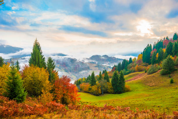 istock Beautiful majestic landscape with conifer trees on mountain 1255586877