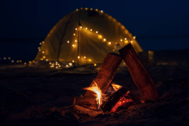 istock The fire at night on the beach. Summer mood 1255588124