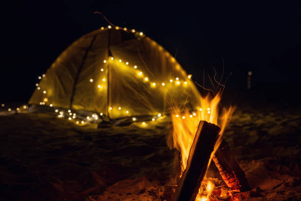 istock The fire at night on the beach. Summer mood 1255588188