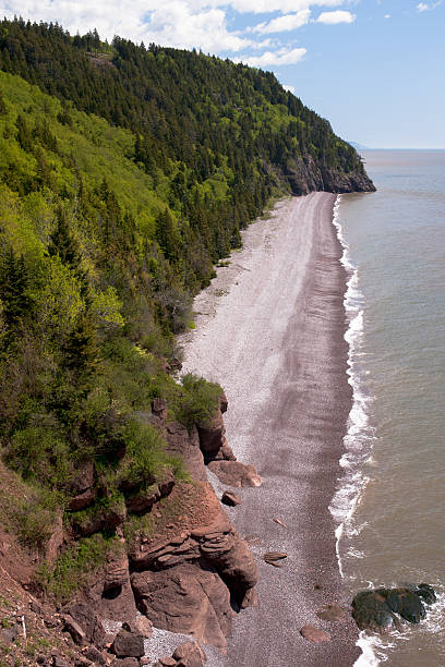 istock Fundy Trail sea coast 125558969