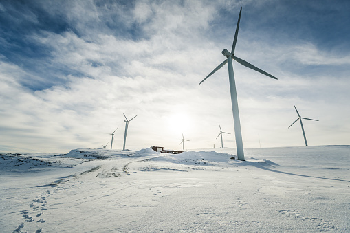 Eolic turbines for wind power industry: technicians doing maintenance