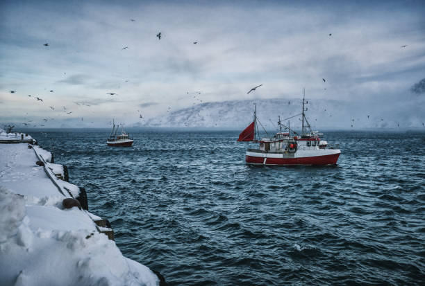 Fishing boats out for skrei cod in the arctic sea Fishing boats out for skrei cod in the arctic sea finnmark stock pictures, royalty-free photos & images