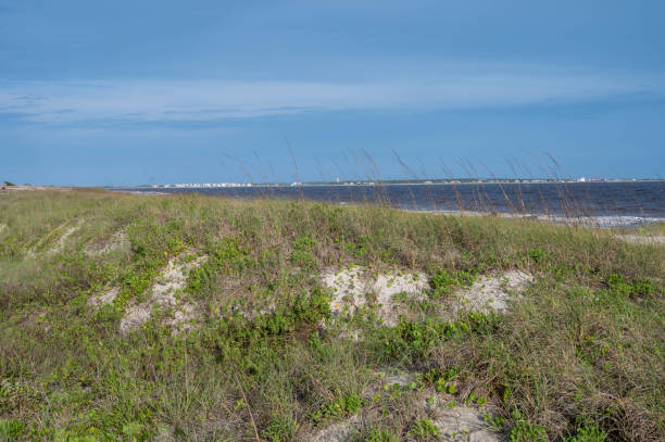 istock Sunny day looking over the dunes 1255593101