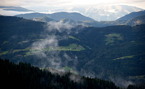 sonne nach dem gewitter - feuchtigkeit fotografías e imágenes de stock