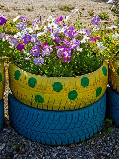 istock small flower bed in an old car tire 1255594441