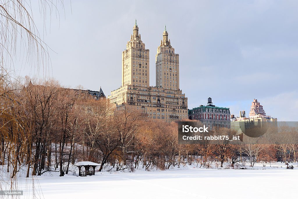 New York City Manhattan e Central Park in inverno - Foto stock royalty-free di Gennaio