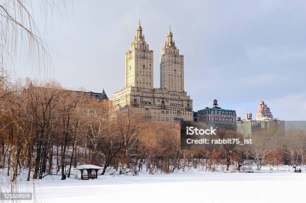 New York City Manhattan E Central Park In Inverno - Fotografie stock e altre immagini di Gennaio - Gennaio, New York - Città, Albero