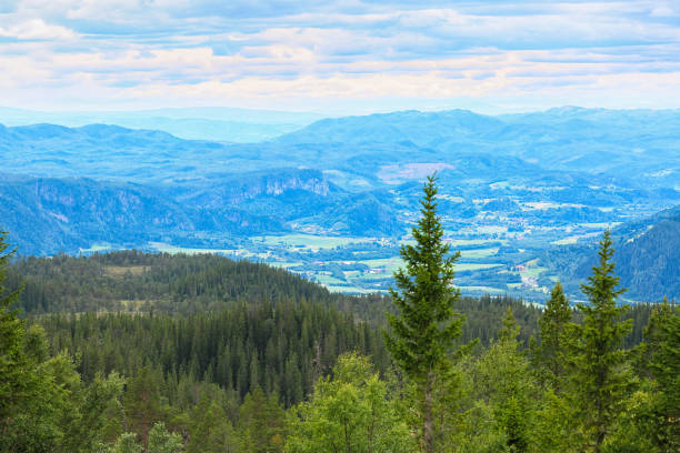 Aerial view from the top of the mountain Vassfjella located near the Norwegian city Trondheim