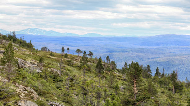 istock Vassfjella mountain hiking tour 1255597253
