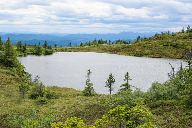 istock Vassfjella mountain hiking tour 1255597433