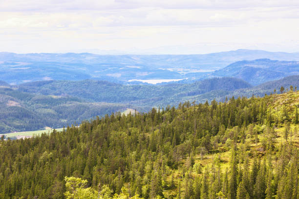 istock Vassfjella mountain hiking tour 1255597534