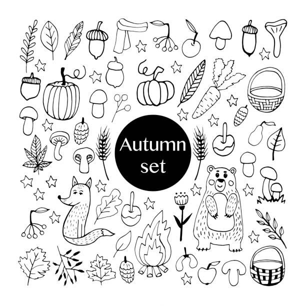 Cute doodle autumn set with acorns, leaves, mushrooms, baskets, cute animals, pumpkins and other gifts of fall. Hand drawn vector illustration for greeting cards, posters and seasonal design. Cute doodle autumn set with acorns, leaves, mushrooms, baskets, cute animals, pumpkins and other gifts of fall. Hand drawn vector illustration for greeting cards, posters and seasonal design. fire fox stock illustrations