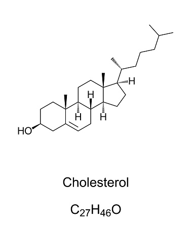 Cholesterol, chemical structure and formula. A modified steroid, a type of lipid and the principal sterol synthesized by humans and animals. Essential for humans and all animals. Illustration. Vector.
