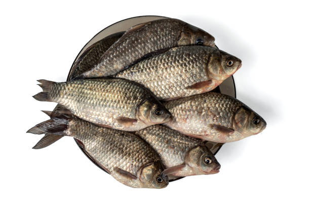 istock Fresh crucian on a brown plate isolated on white 1255603505