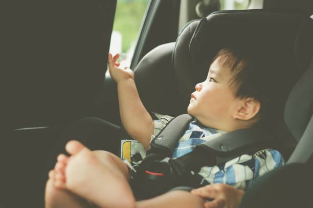 istock Asian baby boy asleep in the car 1255608020