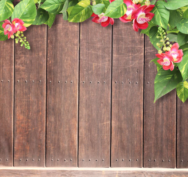 Horizontal background with wooden boards, flower and tropical leaves. Nature backdrop with exotical border with plants of jungle and wood planks. Copy space for text. Mock up template