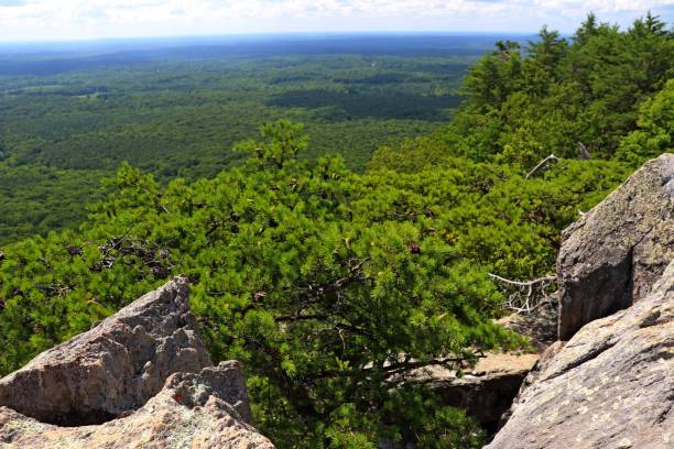 istock Scenery From the Top of Crowders Mountain. 1255610167