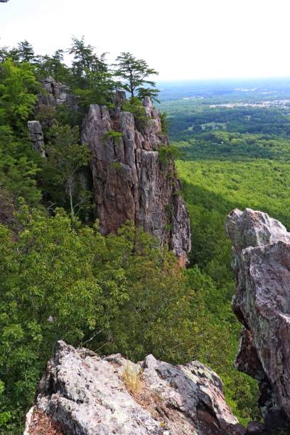 istock Scenery From the Top of Crowders Mountain. 1255610210